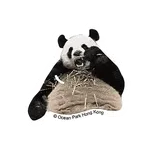 香港海洋公園 - 《大熊貓安安可可日常篇》