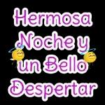 Feliz Noche