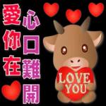 可愛牛 愛你在心口難開