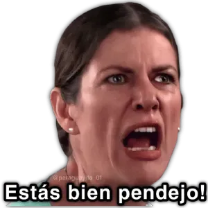 Estás bien pendejo! - getsticker.com