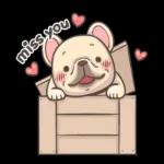 french bulldog love story