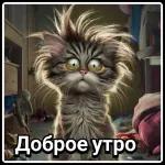 HER WILLEM AMLOMIEN KA MINIAKHIMY ABLAKTIBY FOTOB