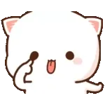wasap 