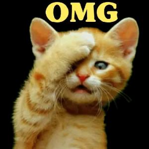 OMG  - getsticker.com
