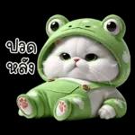 ข้าวต้ม ชุดกบ หน้าบูด