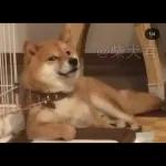 Qué se sentirá ser feo?