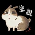 邦妮蓓蓓的日常生活