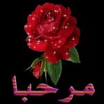 انا بحبك