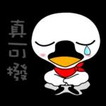 醫美小天鵝端午節祝福與日常篇