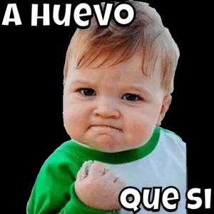 A Huevo 30 Que si - getsticker.com