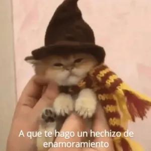 YUUSrs