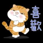 懶貓家族12 小太陽和家人-甜蜜草莓篇