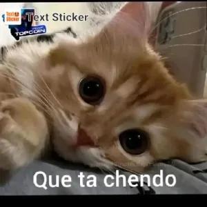 mTGKn7