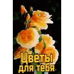 Спаси и сохрани!!!