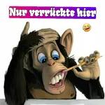 Hier  steht du bist ein Opfer 