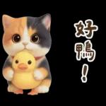 花貓超可愛諧音梗