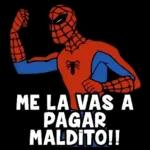 los spider man