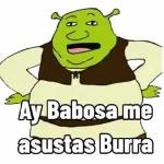 Shrek 
