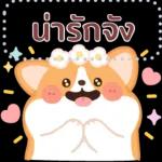 มอร์นิ่งจ้า☀️☀️☀️