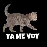 La gente inventa cada cosa