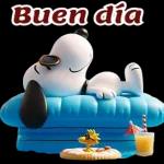 Pegatinas gratis
