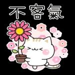 善解人意的小貓貓