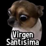 , BB
