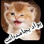 صباح
الخيرات
والأمطار والبركات