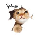 السلام
"عليكم
ورحمة الله
لوبركاته