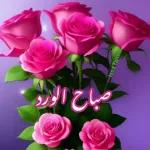 صباح الورد
