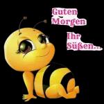 Guten Morgen