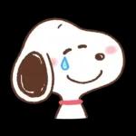 PEKO醬☆冬季繽紛