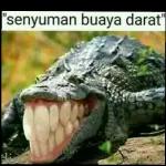 只