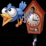 Доброе утро 