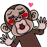 ¡Un regalo para ti! 💐