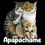 Sabiduría
Entendimiento
Consejo
Fortaleza
Piedad
Temor de Dios
Ciencia
Espíritu Santo
Dones del