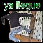 Te amo!