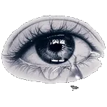 你看我，我尿尿尿到电视上了