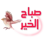 صباح الخير