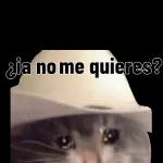 Grasias x tardar ya me dormi