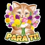 sesese
