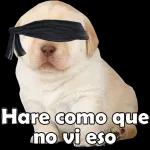 *se preocupa*