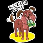 ЖДУ.ТЕБЯ ДОМА!