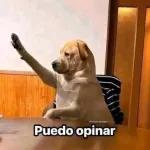 Esta lloviendo