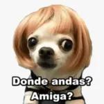 memes_de_perr...