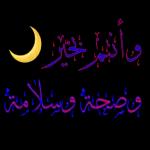 مع سلامه باي باي