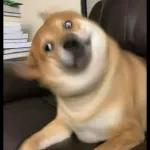 Qué se sentirá ser feo?