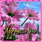 блин блинский