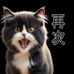 超可愛的黑白貓