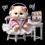 มาดูฮิปโปบ้านเรามั้ย